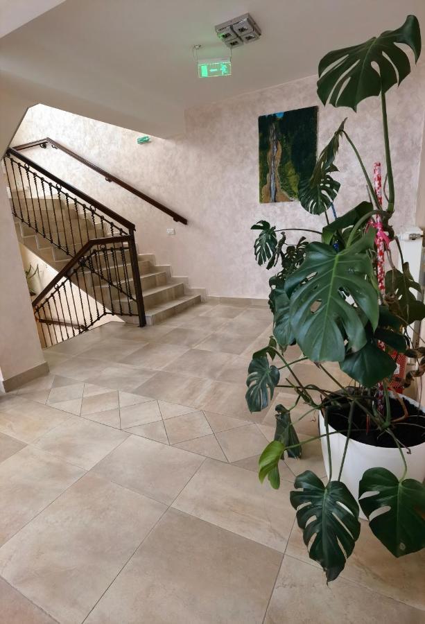 Pensiunea Royal Borşa エクステリア 写真